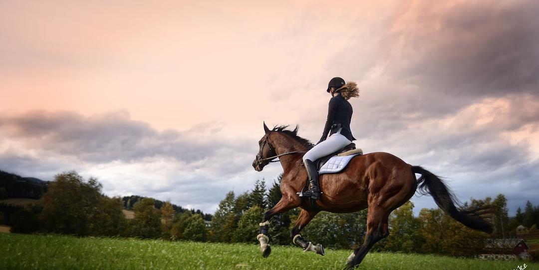 Bilde/illustrasjon for Medlemsmøte/sommeravslutning Jotun fotoklubb