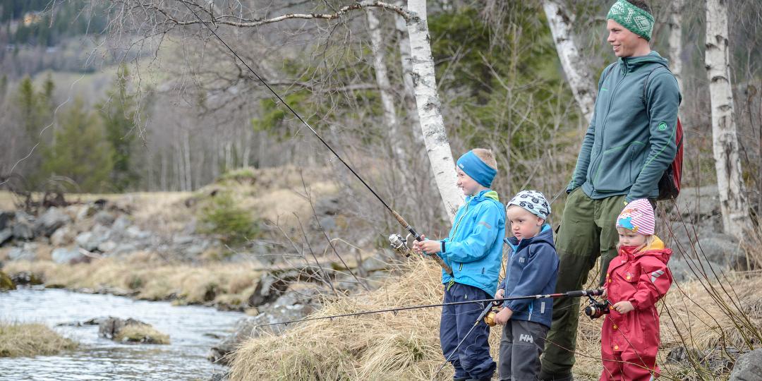 Bilde/illustrasjon om Øylo-Ryfossen Elveeigarlag