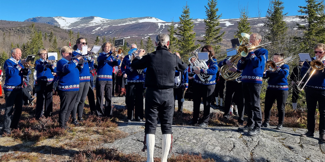 Bilde/illustrasjon om Fjellblom musikklag