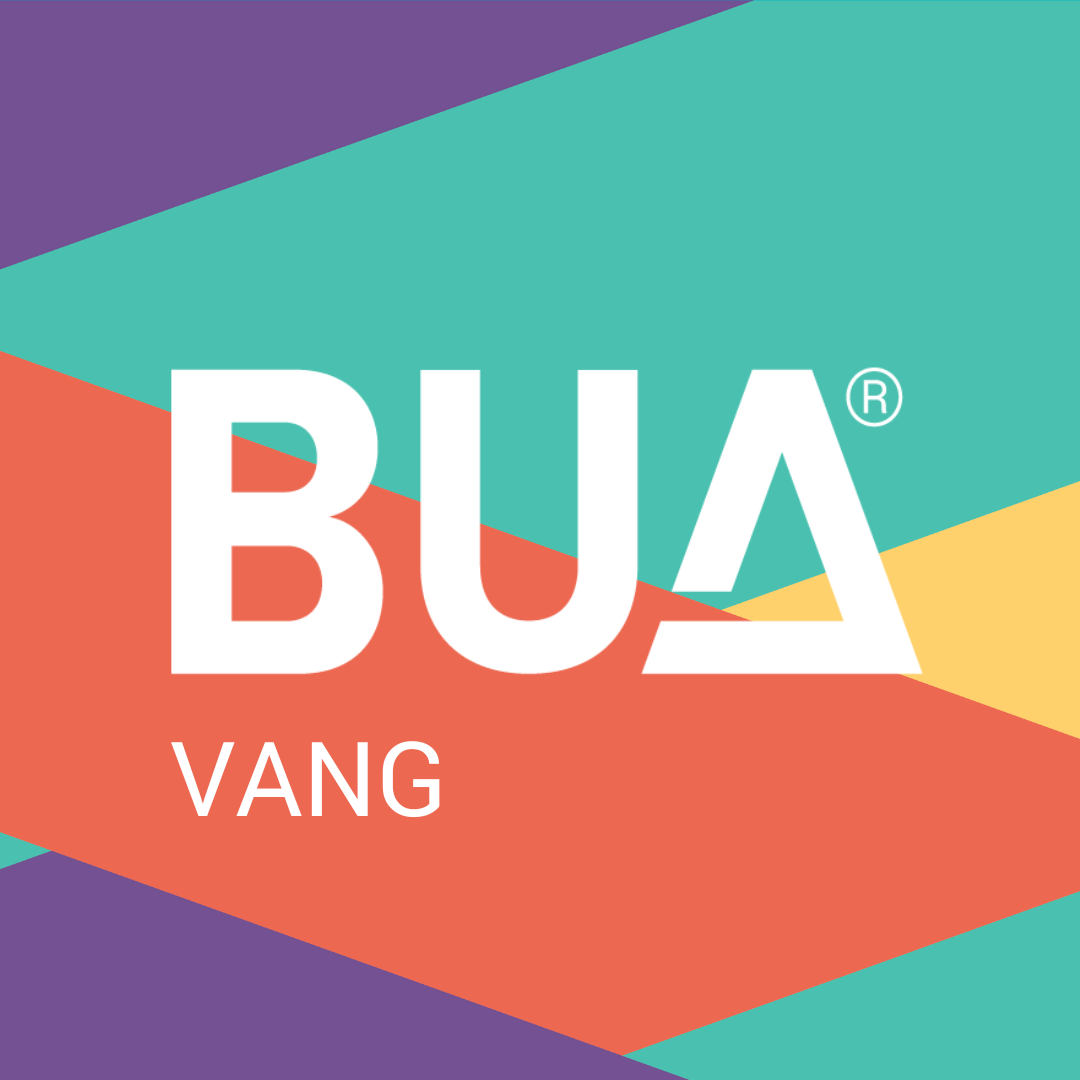 Logo BUA Vang