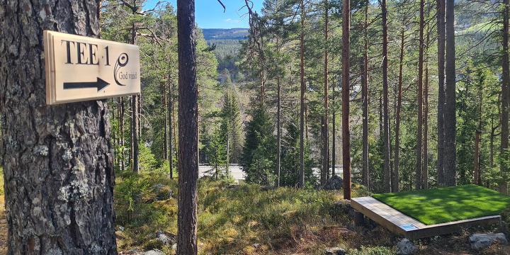 Bilde/illustrasjon for Ryfoss diskgolf - klubbkveld Ryfoss diskgolf - klubbkveld